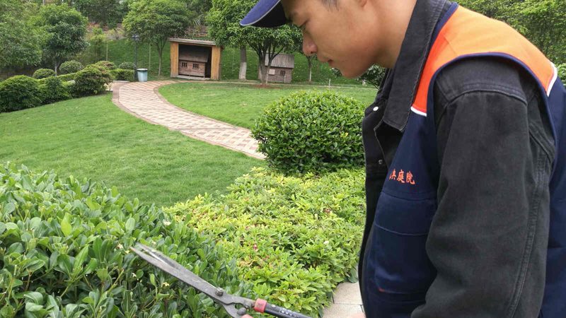 北京别墅花园设计装修：如何打造私人绿意空间？**
