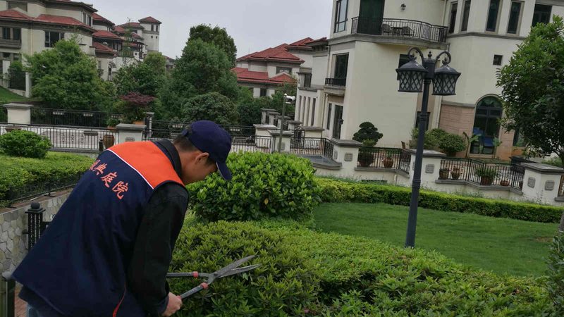 展会花卉租摆上门安装：打造绿色盛宴的秘诀