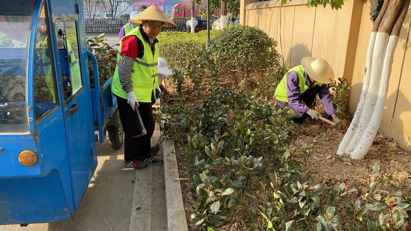 立体绿化植物墙材质分类解析**