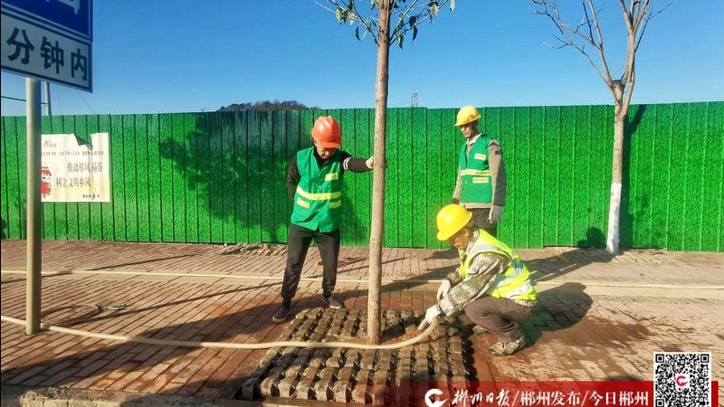 园林绿化工程报价明细表：揭秘编制关键要素