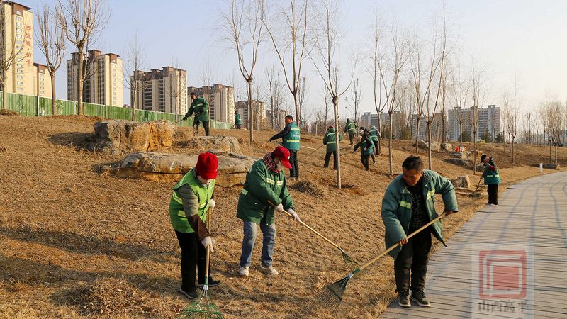 上海绿化养护工人证办理：必备条件与流程解析**