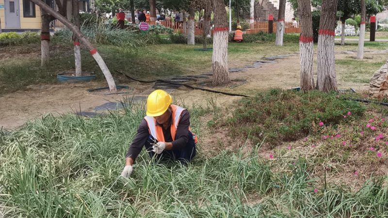 园林绿化工程报价如何规避常见陷阱**