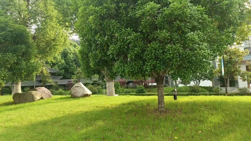 高端别墅庭院园林绿化定制方案的要点解析**