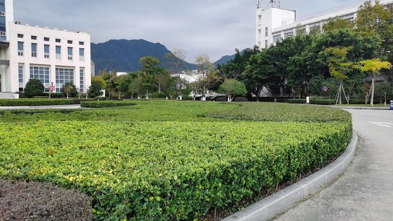 边坡绿化养护注意事项有哪些