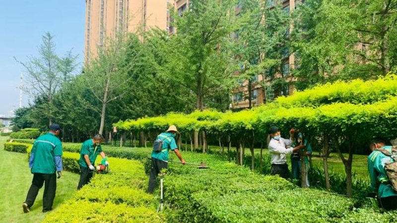 水泥假山喷泉施工步骤全解析**