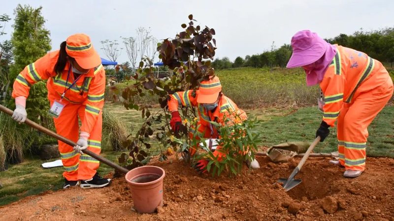 道路绿化工程招标资质条件全解析