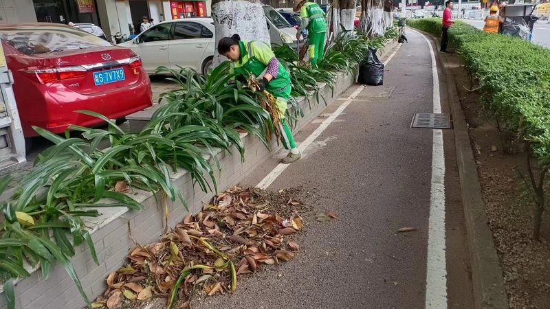苏州园林绿化工程公司经营范围探析